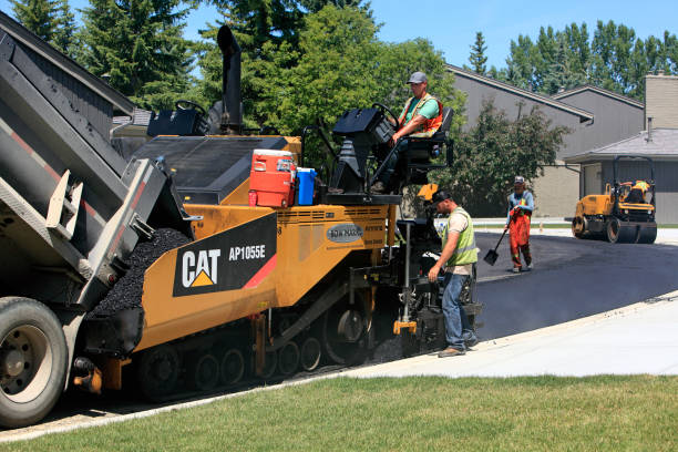 Best Residential driveway pavers in Holly Hill, SC